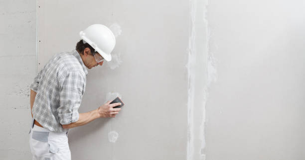  , USA Dry wall and painting Pros